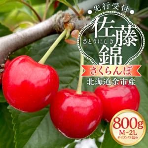 【先行受付】北海道余市産 さくらんぼ「佐藤錦」(M～2Lサイズバラ詰め)_Y103-0070