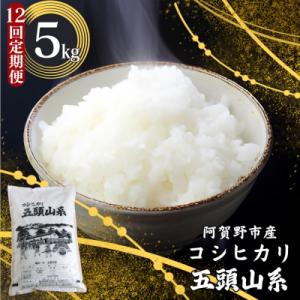 【令和7年産】【12回定期便】「米屋のこだわり阿賀野市産」コシヒカリ5kg×12回