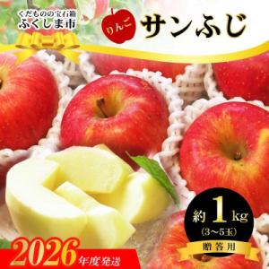 ふくしまのサンふじりんご　約1kg 【2026年度発送】No.2770