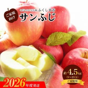 ふるさと納税 福島市 サンふじりんご 訳あり ご...の商品画像