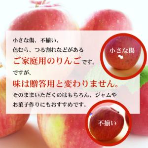 ふるさと納税 福島市 サンふじりんご 訳あり ...の詳細画像1