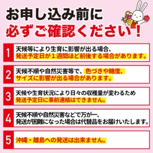 ふるさと納税 福島市 サンふじりんご 訳あり ...の詳細画像2