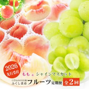 ふるさと納税 福島市 福島のフルーツ定期便2種【2026年発送　先行受付】No.2767