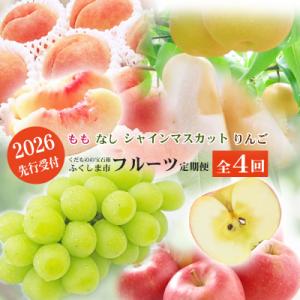 ふるさと納税 福島市 福島のフルーツ定期便4種【2026年発送　先行受付】No.2769