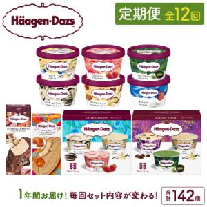 ふるさと納税 浜中町 <全12回・連続>1年定期便!ハーゲンダッツ人気セット_H0016-177
