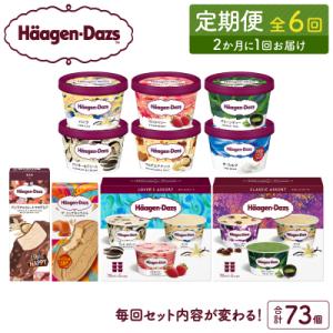 <全6回・隔月>食べ比べ定期便!ハーゲンダッツ人気セット_H0016-178