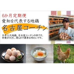 ふるさと納税 大府市 【6か月定期便】日本三大地鶏!! 「純系　名古屋コーチンの卵」(30個)