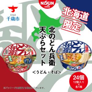 ふるさと納税 千歳市 日清　北のどん兵衛　天ぷらセット＜うどん・そば＞各1箱・合計2箱