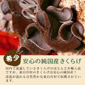 ふるさと納税 東白川村 【3/15受付終了】 ...の詳細画像1