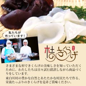 ふるさと納税 東白川村 【3/15受付終了】 ...の詳細画像2