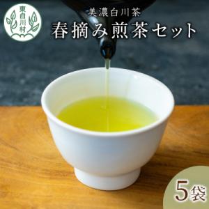 ふるさと納税 東白川村 茶蔵園 春摘み煎茶セット (5袋入) お茶 日本茶 緑茶 煎茶