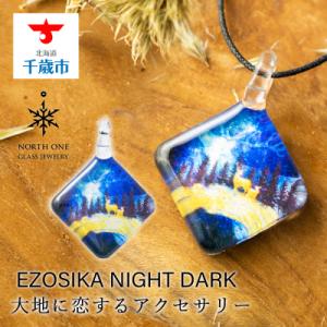 ふるさと納税 千歳市 EZOSIKA NIGHT DARK [スクエアMサイズ]