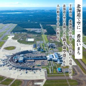 ふるさと納税 千歳市 北海道 千歳市☆応援寄付...の詳細画像1