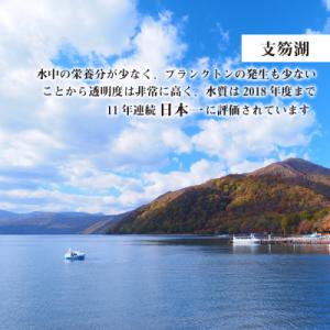 ふるさと納税 千歳市 北海道 千歳市☆応援寄付...の詳細画像2