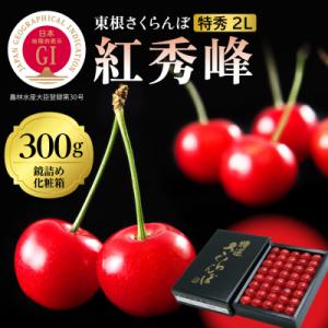 ふるさと納税 東根市 2026年 GI東根さくら...の商品画像