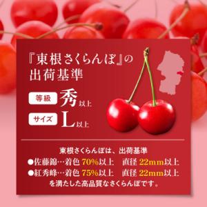 ふるさと納税 東根市 2026年 GI東根さく...の詳細画像1