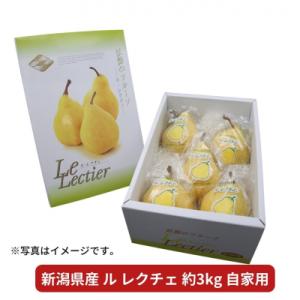 先行受付 ル レクチェ 自家用 3kg 新潟県産 洋梨 ル・レクチェ[岩福農園] 【010P026】
