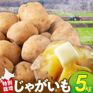 R8年産先行受付 じゃがいも 5kg 特別栽培(男爵) | 北海道津別町