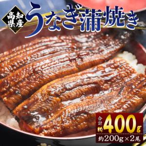 人気の国産うなぎ蒲焼 鰻蒲焼 約200g×2尾 国産うなぎ蒲焼 fb-0227