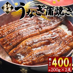 ふるさと納税 香南市 うなぎの蒲焼き約200g×...の商品画像