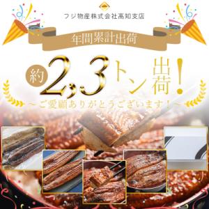 ふるさと納税 香南市 うなぎの蒲焼き約200g...の詳細画像1