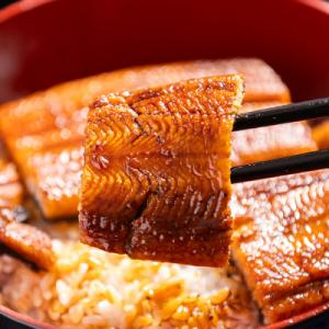 ふるさと納税 香南市 うなぎの蒲焼き約200g...の詳細画像3