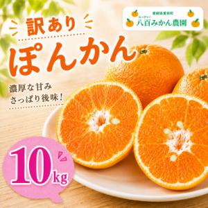 【先行予約】発送:2027年1月下旬～八百みかん農園 の 訳あり ぽんかん 10kg