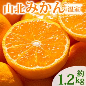 みかん 温室 人気 1.2kg ハウスみかん 山北みかん 高級 高知 ku-0050