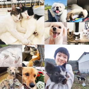 ふるさと納税 高原町 【返礼品なし】宮崎県高原...の詳細画像3