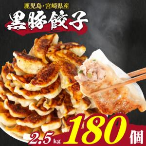 ふるさと納税 下関市 訳あり 黒豚餃子 12粒×15パック(180粒) 国産餃子 冷凍 小分けパック...