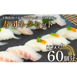 寿司ネタセット BV009