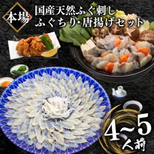 ふるさと納税 下関市 天然ふぐ刺身&amp;ふぐちり&amp;唐揚げセット 冷凍 まふぐ刺し身 ふぐ鍋 BV017