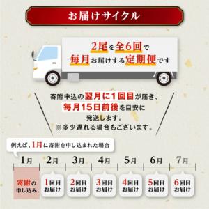 ふるさと納税 大崎町 【定期便】おおさきうなぎ...の詳細画像3