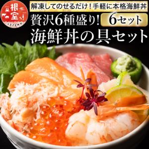 ふるさと納税 根室市 海鮮丼の具(6種盛り)×6セット B-10008
