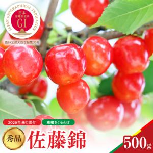 ふるさと納税 東根市 【2026年産　先行受付】佐藤錦 秀品 500g 山形県 東根市　hi062-044