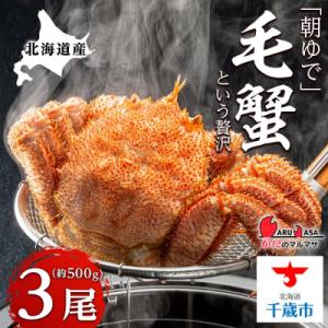 ふるさと納税 千歳市 北海道産【朝ゆで】毛ガニ(500g前後)3尾 期間限定!＜かにのマルマサ＞