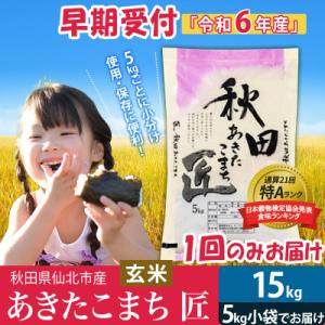 ふるさと納税 仙北市 【玄米15kg】令和6年産 新米早期受付 秋田県産あきたこまち15kg|02_snk-020701s｜y-sf