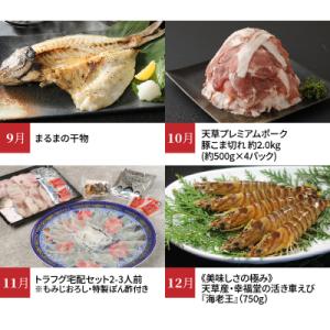 ふるさと納税 天草市 【定期便12回】天草市堪...の詳細画像3