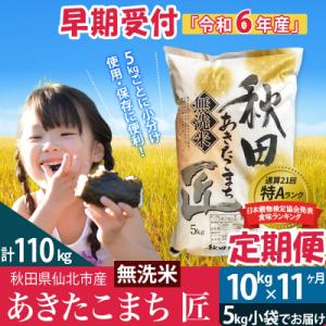 ふるさと納税 仙北市 【無洗米】R6年産 新米早期受付《定期便11ヶ月》あきたこまち10kg|02_snk-030611s｜y-sf