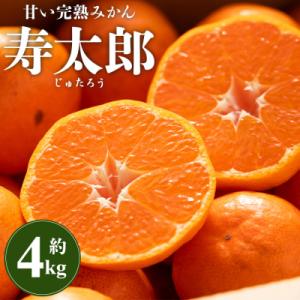 ふるさと納税 香南市 甘い完熟みかん 【寿太郎】 4kg 糖度 みかん ms-0068｜さとふる