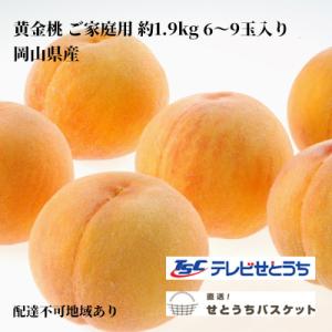 ふるさと納税 瀬戸内市 岡山 黄金桃 ご家庭用 約1.9kg 6〜9玉入り[No.5735-1652...