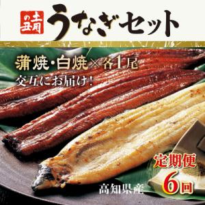 ふるさと納税 室戸市 蒲焼き・白焼きを交互にお届け!国産うなぎ1尾【全6回定期便】