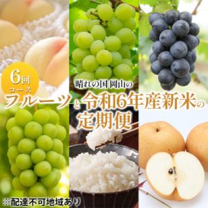 ふるさと納税 瀬戸内市  晴れの国岡山のフルーツと 令和6年産新米 の 定期便 6回コース[No.5735-1741]｜y-sf