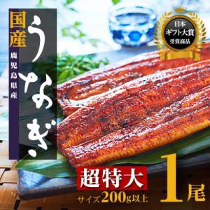 ふるさと納税 大崎町 【お試し】鹿児島県産長蒲焼特大1尾(200g以上×1尾)