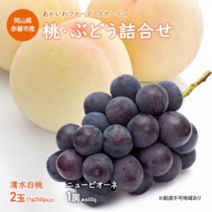 ふるさと納税 赤磐市 桃 ぶどう 詰合せ 清水 白桃 2玉 ニュー ピオーネ 1房 2024年[NO...