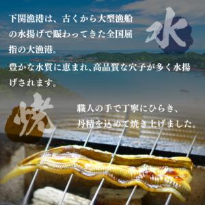 あなごめし 385g × 2個セット HF001