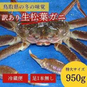 ふるさと納税 倉吉市 【魚倉】足1本なし生松葉ガニ(特大950g) カニ ズワイガニ 訳あり 冷蔵｜y-sf