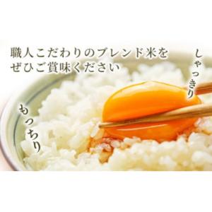 ふるさと納税 甲佐町 令和7年産『甲佐の輝き』...の詳細画像3