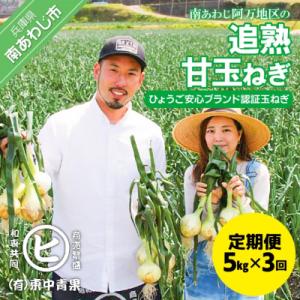 【3ヶ月定期便】「追熟甘玉ねぎ」5kg