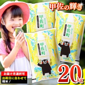 令和7年産【定期便3ヶ月】『甲佐の輝き』精米20kg【配送指定可】【ZK】